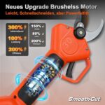 Kebtek Professionelle Akku Astschere 2025 NEU, 16.8V 30mm Elektrische Gartenschere 2x2500mAh Batterien 8-10H Laufzeit Sicherheitsschalter, Gartenschere Heavy Duty für Baum, Ast & Rose